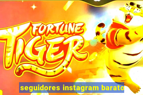 seguidores instagram barato